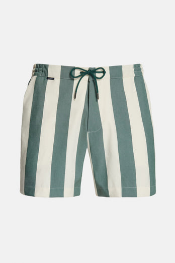 Straws * The Big Stripes Swims Straws * The Big Stripes Swims