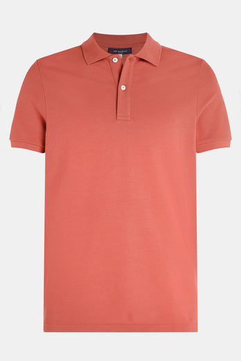 Bricks * The Classic Polo Bricks * The Classic Polo