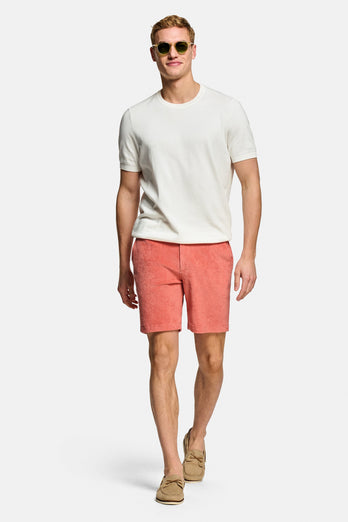 Bricks * The Short Terries Bricks * The Short Terries