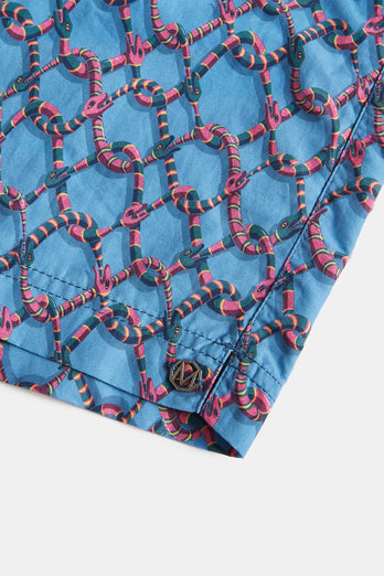 Hypnotics * The Print Swims Hypnotics * The Print Swims