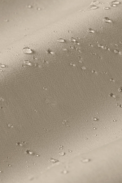 Gazettes * The Actives