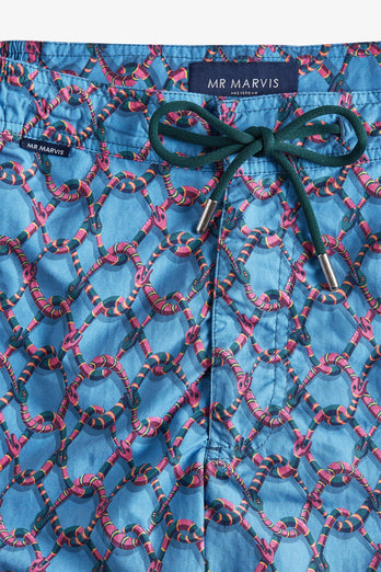 Hypnotics * The Print Swims